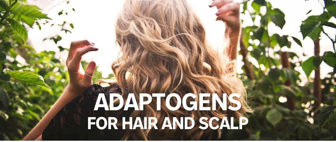 Adaptogens for Hair: What the Research Shows (And What It Doesn't)